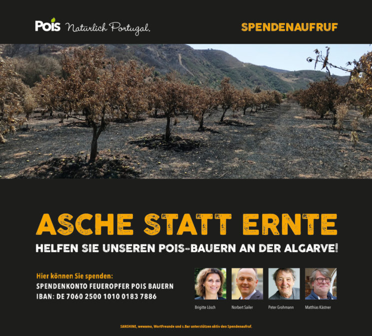 Odoo • A picture with a caption